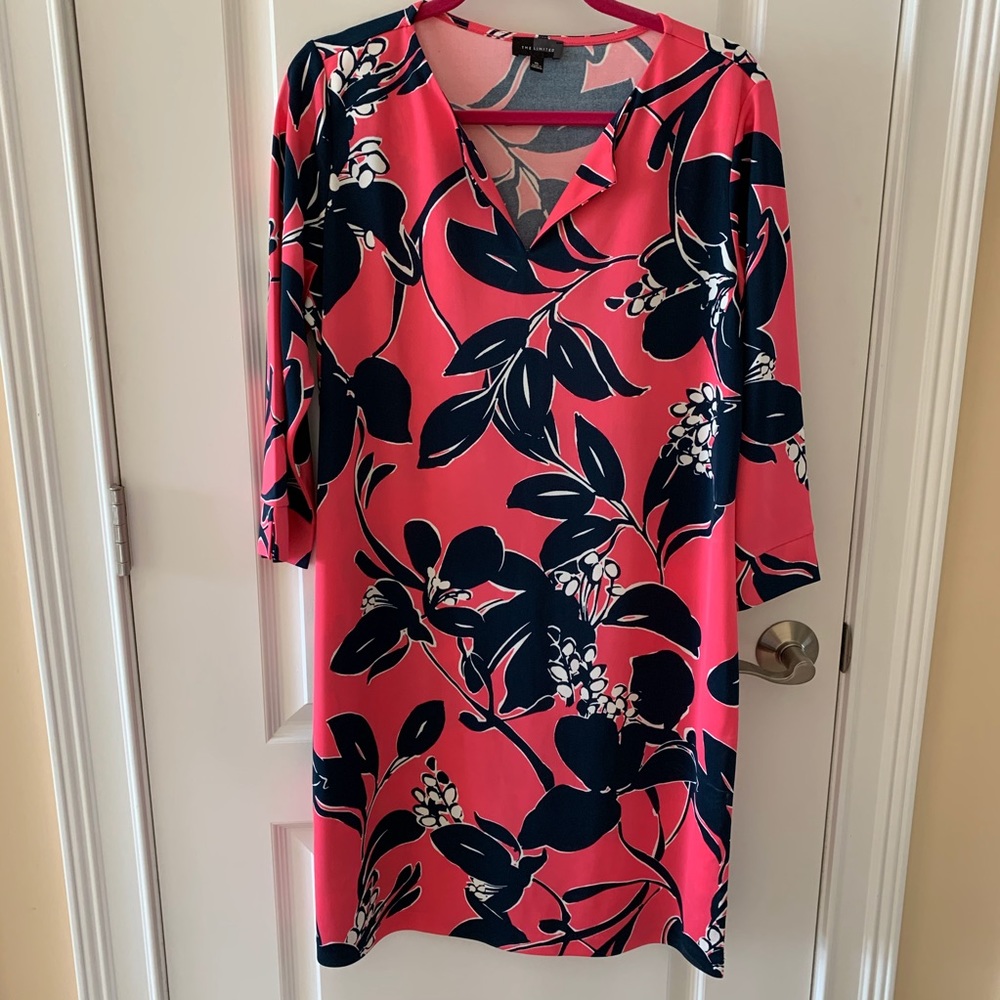 The Limited dress